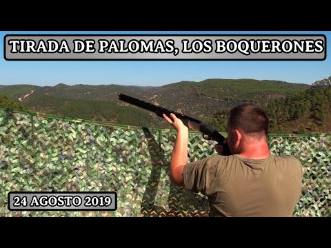 TIRADA DE PALOMAS 2019 | FINCA LOS BOQUERONES ( HUNTING PIGEONS )