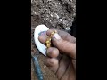 HUGE Gold Nugget Found With Metal Detector!!