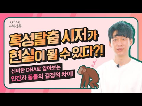 신비한 <strong>DNA로</strong> 알아보는 인간과 동물의 결정적 차이!