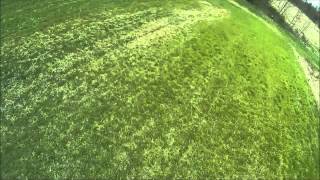 Quad Racing Group Ohio NE: MB Mini vs Blackout Hex (Jumped start)