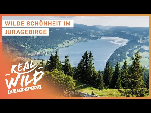 Das Juragebirge der Schweiz - Europas schönsten Berge? | Real Wild Deutschland