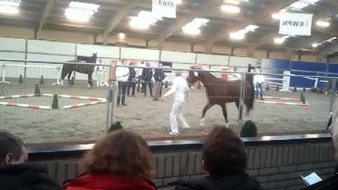 video 2012 12 13 12 26 56