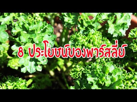 วีดีโอ: พาร์สนิปมีลักษณะอย่างไร?