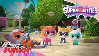 Superkitties | Banho De Espuma