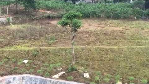 Bán đất xã Tiến Xuân Thạch Thất, gần Suối Ngọc Vua Bà, diện tích 1469m2, 2,2 tỷ