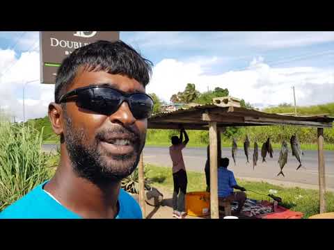 (অশ্লীল নাচ, সাবধান) ফিজি দ্বীপে বাঙলা গানের নাচ, Indian Legacy in Fiji
