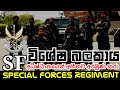 Sl army sf  sri lanka army special forces  sri lanka army special forces regiment  sf regiment