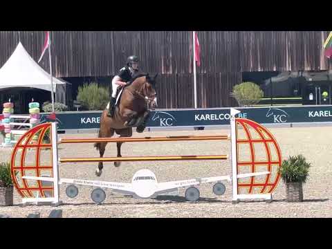 Criquet de l'lsle 140 CSI3*** Opglabbeek