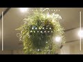 【造花】吊り下げるボール型アレンジメント【フェイクグリーン】 ｜ florist vlog