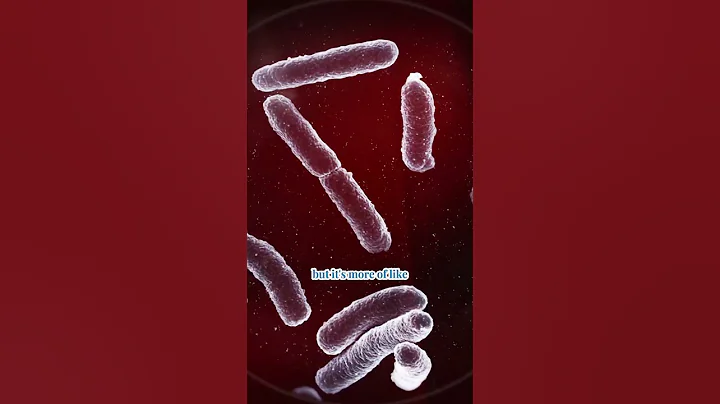 Understanding Bacterial Vaginosis