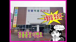 백봉경매장 4월8일 목요일 오픈
