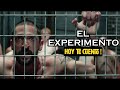 El Experimento de la Carcel : Resumen | Hoy Te Cuento