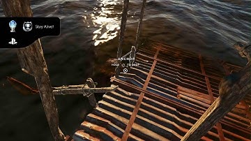 Stranded Deep - Two of Each