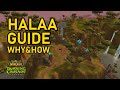 Halaa Guide Why Should You Do It How To Do It And Tips