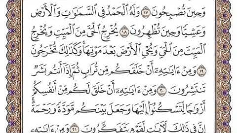 سورة الروم الشيخ ياسر الدوسري صفحة ٤٠٦