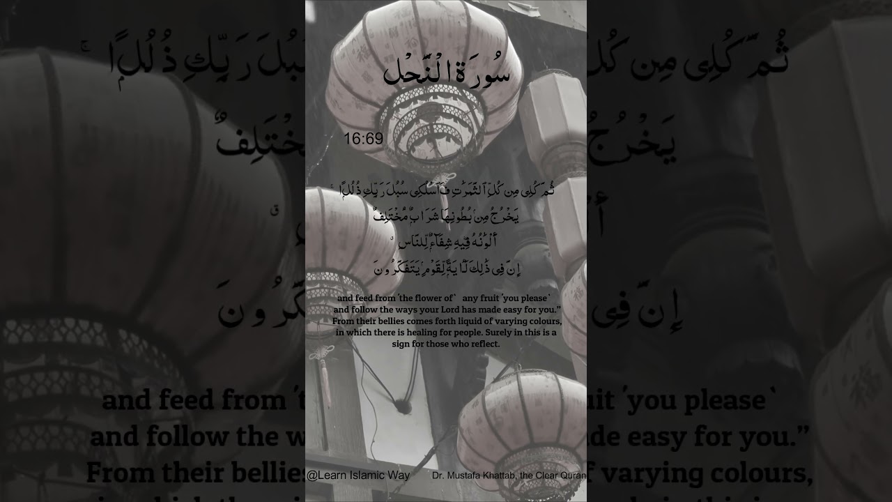 Surah Al-Nahl Ayat No 16 : 69 70 Arabic | سورۃ النحل With English Translation  #quran #allah #yts