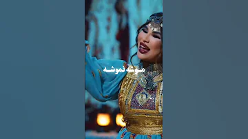 آهنگ جدید آریانا سعید موشه نموشه 