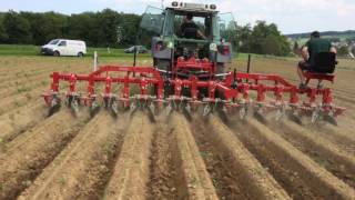 Steketee 8 X 75 Möhren Hackmaschine