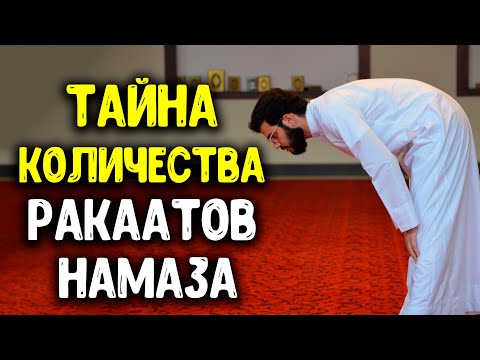 Раскрываем тайну количества ракаатов намаза