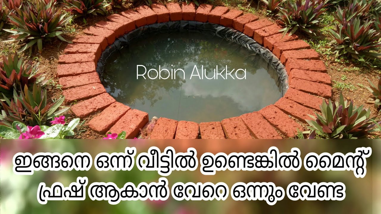 മുറ്റത്തെ മീൻ കുളം/Fish Pond/Garden Pond/Garden Pond malayalam/ happy