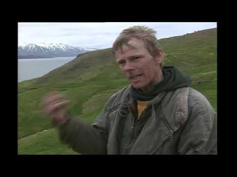 Vidéo: Où faire de l'équitation en Islande