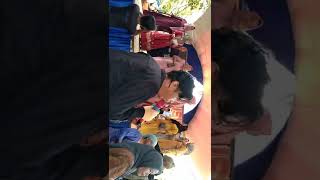 Download Lagu lagu Jambi Rantak kudo-cover Siwar pjm dg MC jangloi,Arr Dj jol ( Firsa Musik ) MP3