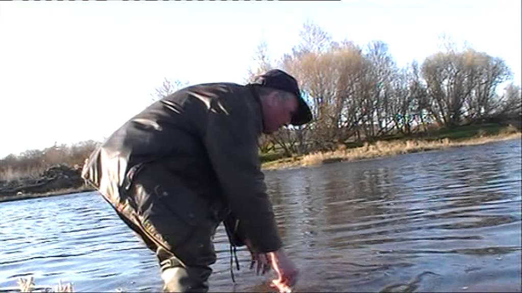 14 lb Sea Trout River Towy 6th April 2015 YouTube