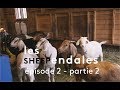 Les SHEEPendales - E02 : Amélie Blanchard, partie 2