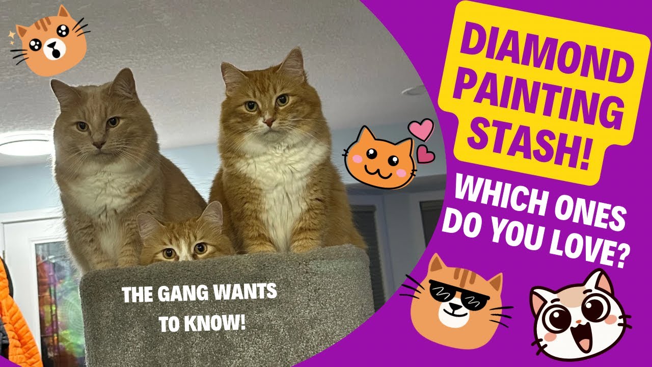 My Licensed Diamond Painting Stash!!! 