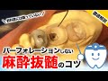 【歯科医師必見】パーフォレーションしない麻酔抜髄のコツを徹底解説！［教科書には載っていない歯科技術］