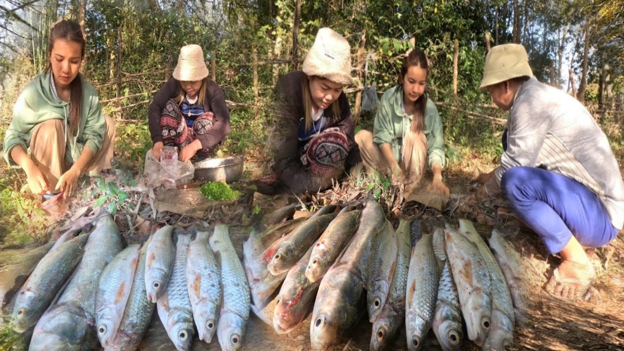 ชวนทีมงานกินปลาอยู่นองได้ปลาเยอะมาก#สาวลาว #ชนบทลาว 