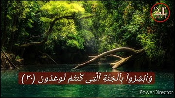 ماتيسر من سورة فصلت للشيخ ناصر القطامي🌿🌱