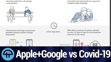 How Apple & Google