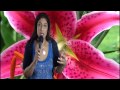 North Node in Leo or 5th House Astrology Series by Nadiya Shah