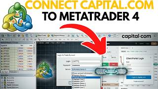 How to Connect Capital.com to Metatrader 4
