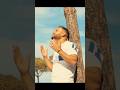 يا قلبي شبيك عايش في ظلام الليل حتى كي ماتحكيش نعرف لي انت حزين واش عملو فيك يا قلبي شبيك عايش في ظلام الليل حتى كي ماتحكيش نعرف لي انت حزين واش عملو فيك