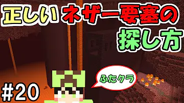 マイクラネザー