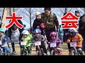 2才でストライダー大会に出てみた