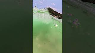 BIG WAVE CRASH ME 🌊... While I was trying to put on my fins. 360X5 floats!