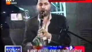 Hüsnü Şenlendirici   d