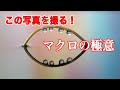 【外出自粛期間特別企画!】マクロレンズを使って水滴撮影をしよう!【日本語字幕修正済】 Macro photorgary