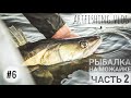 Осенняя рыбалка на Можайском вдхр. Часть 2. Artfishing.Vlog #6