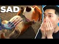 Reacting to The SADDEST Animations - TRY NOT TO CRY CHALLENGE