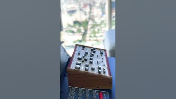 Dreadbox Murmux and Vongon Replay #synth #synthesizer #brooklyn #dreadbox #electronicmusic #music