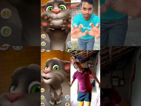 Talking Tom Real