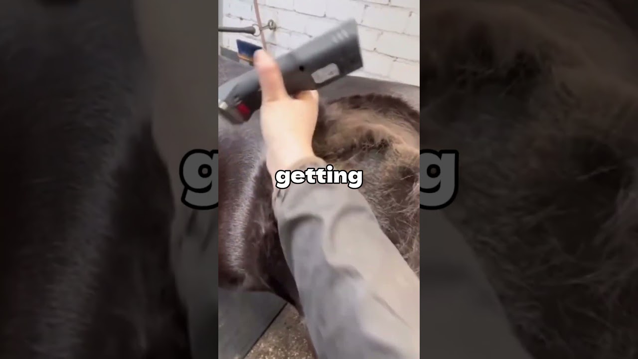 #funny #jokes
