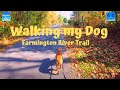 Dog walk TV ( 4K ) Walking with my dog on the Farmington River Trail