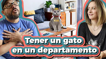 ¿Puedo tener a mi gato en mi dormitorio?