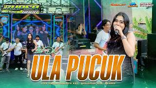 ULA PUCUK - ITTA DK | SUPER NADA LIVE LARANGAN KAB. BREBES