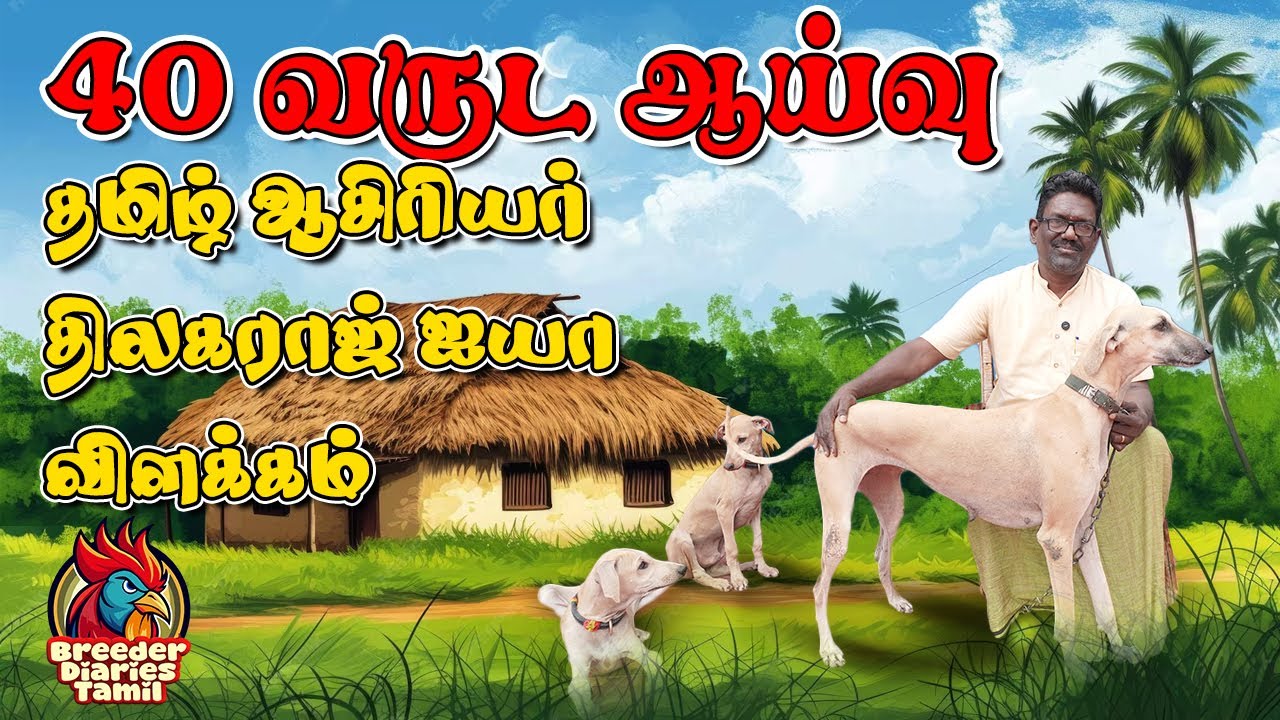 40 வருட ஆய்வு: நாட்டு நாய் உண்மை | தமிழ் ஆசிரியர் திலகராஜ் விளக்கம் #dog #trending #farming #viral